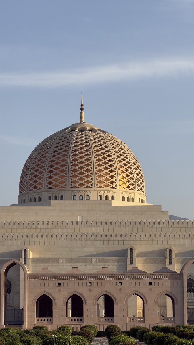 🇵🇸 tweet media