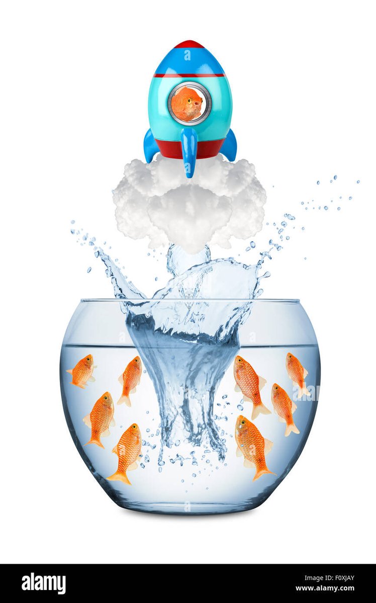 Colemiles11's tweet photo. I have been working on a new type of fish operated flying machine. I will make trillions in this. https://t.co/WLln01rvsg