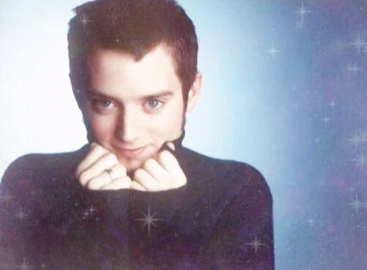 Dollie (1.3/20kg) tweet media