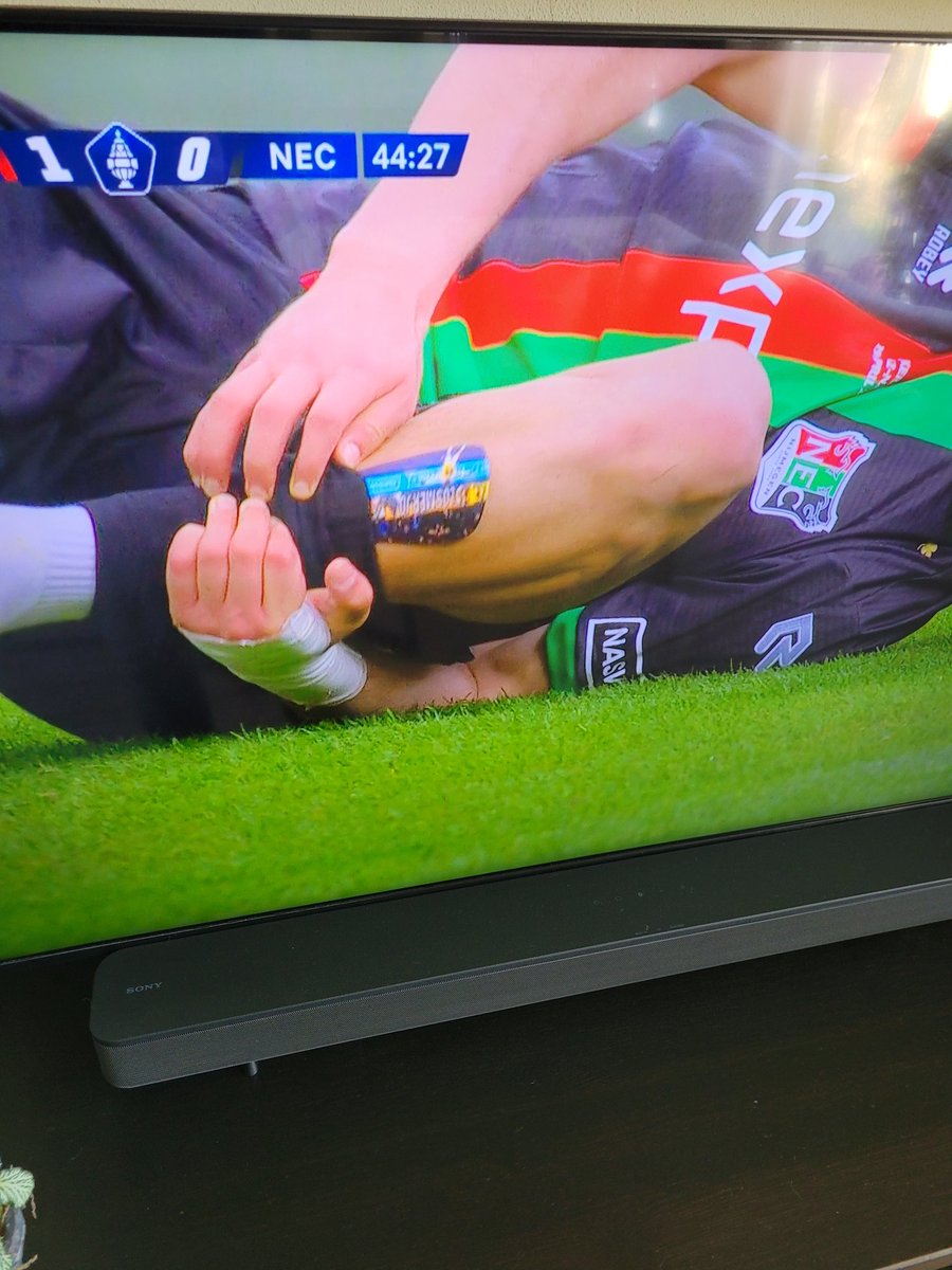 Zuchter des Vaderlands 🐟 🏴‍☠️® tweet media