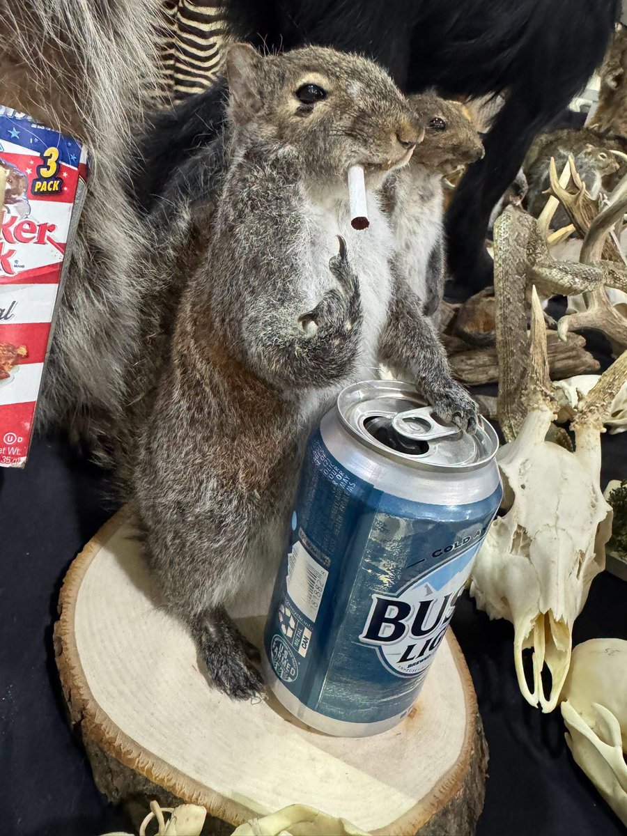 letsgobrazen's tweet photo. To the haters: 
#girlshunttooonlyprettier #huntinghumor #taxidermy https://t.co/y8uxfdldlK