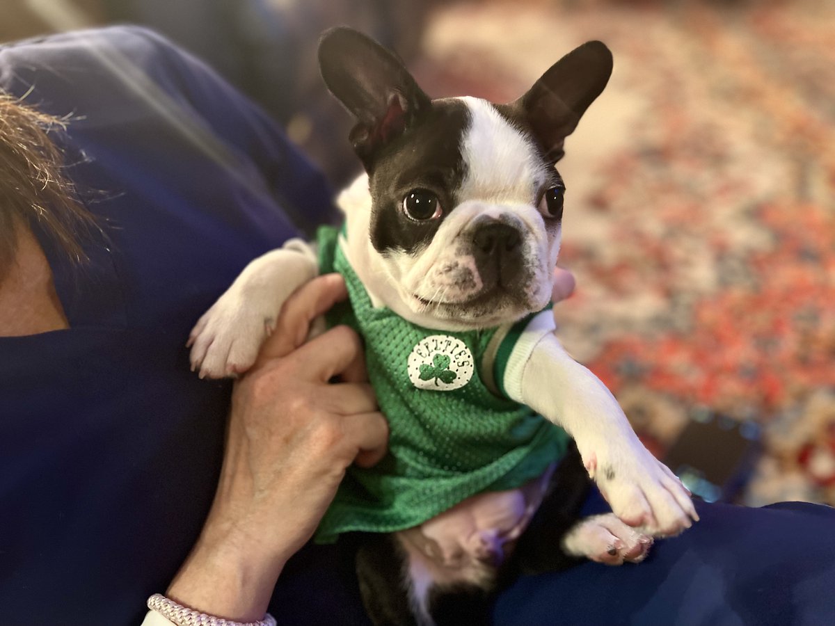 KingMinos777's tweet image. Let's goooooo! #Woof #differenthere 
🏀🐾