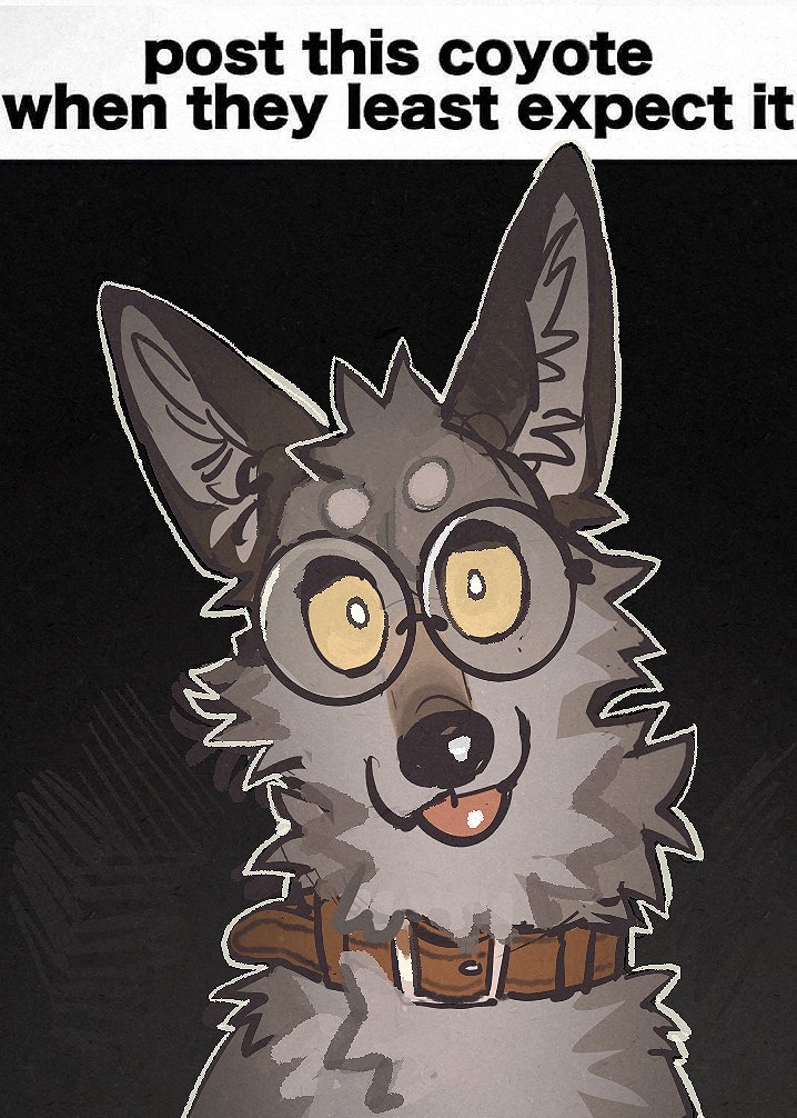 randitawu tweet media