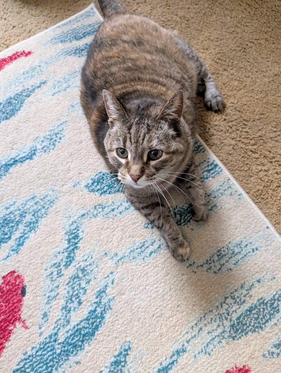 ok don't panic but .. !!!