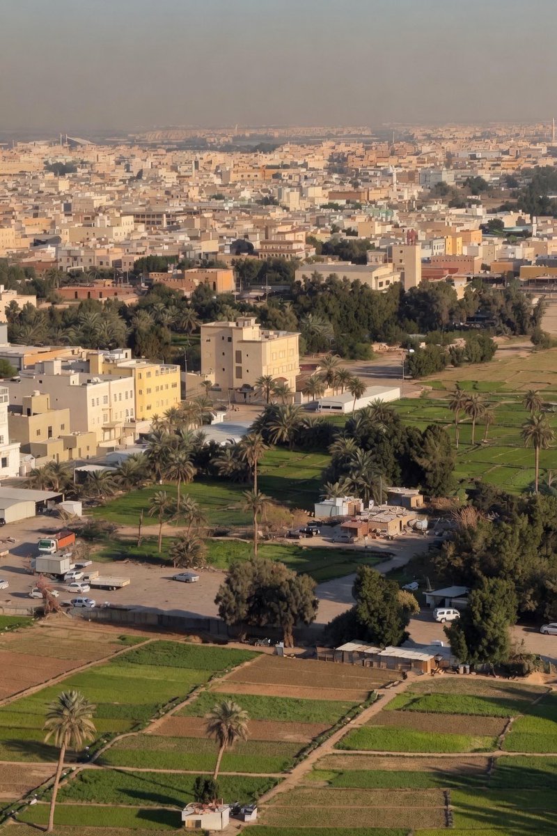 مزارع #الجهراء الجميلة