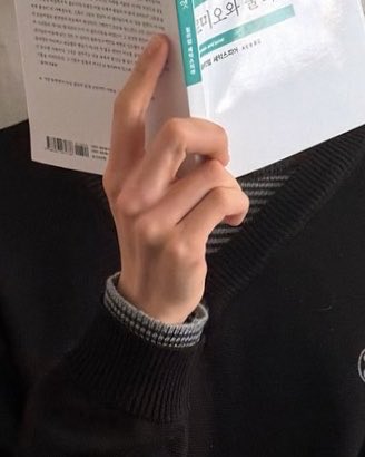 ヨモギ tweet media