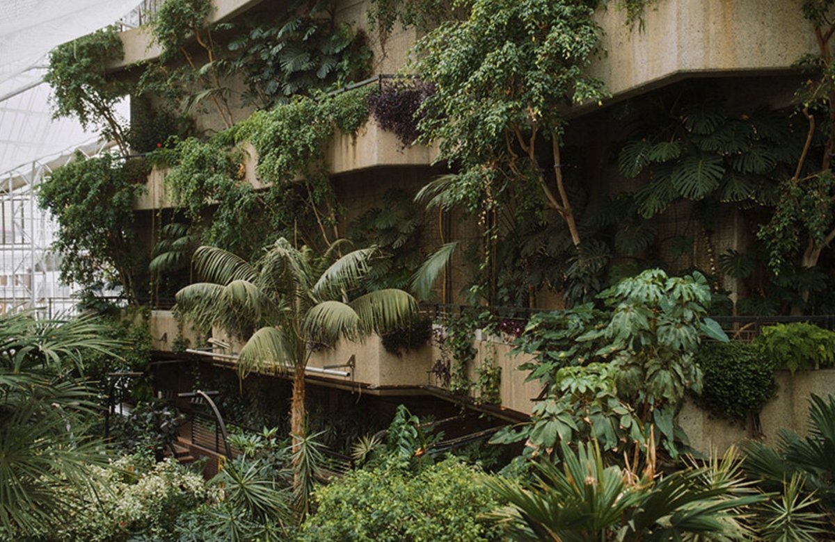 LtdAnsell's tweet image. David Altrath documents the jungle suspended inside London’s Barbican Conservatory.

designboom.com/architecture/d… via @designboom 

#Architecture #LondonArchitecture #BarbicanCentre #UrbanDesign