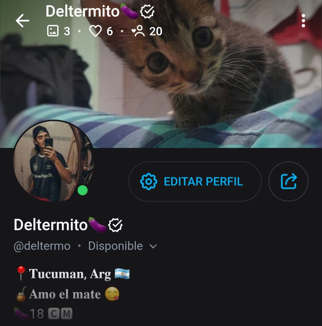 ElDelTermito 🇦🇷 tweet media