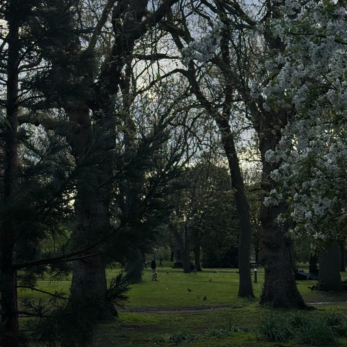 أحمد tweet media