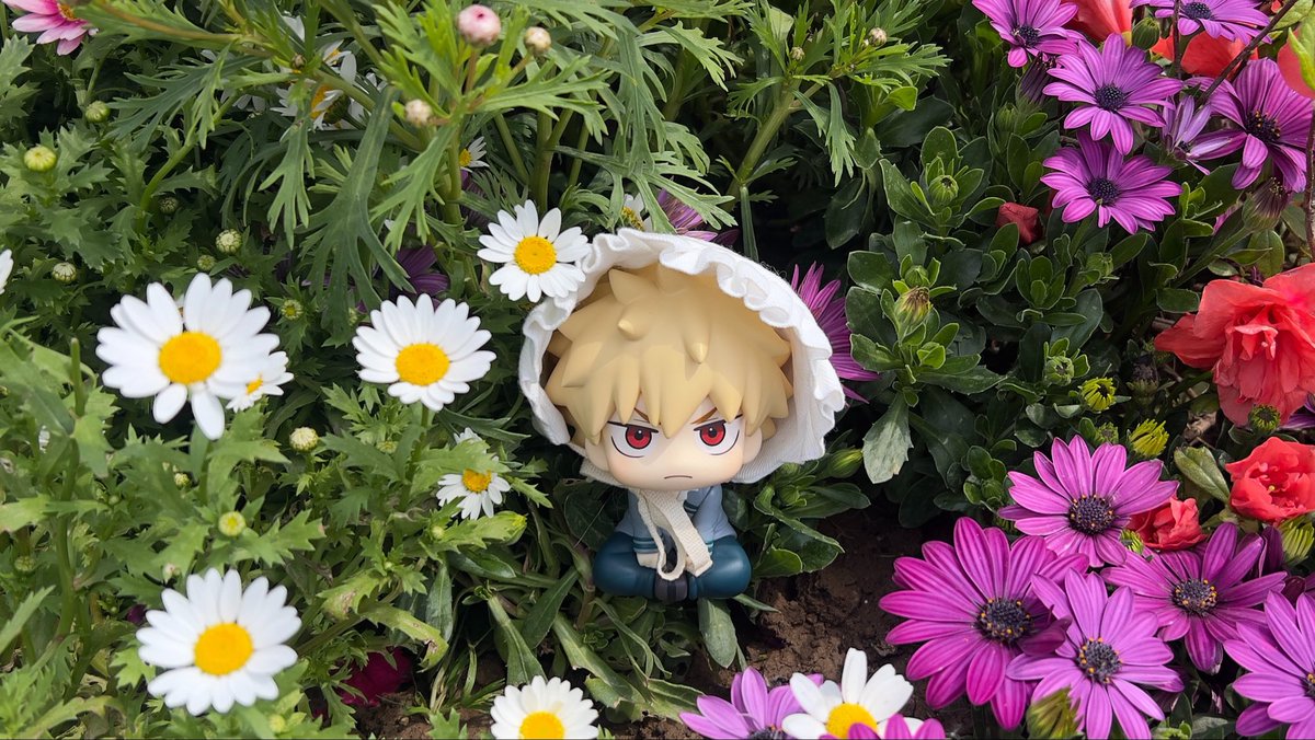 thurs1st's tweet photo. สุขสันต์วันเกิดคัตจัง ! 💥🧡🥳🎂 https://t.co/spfa2ajywT