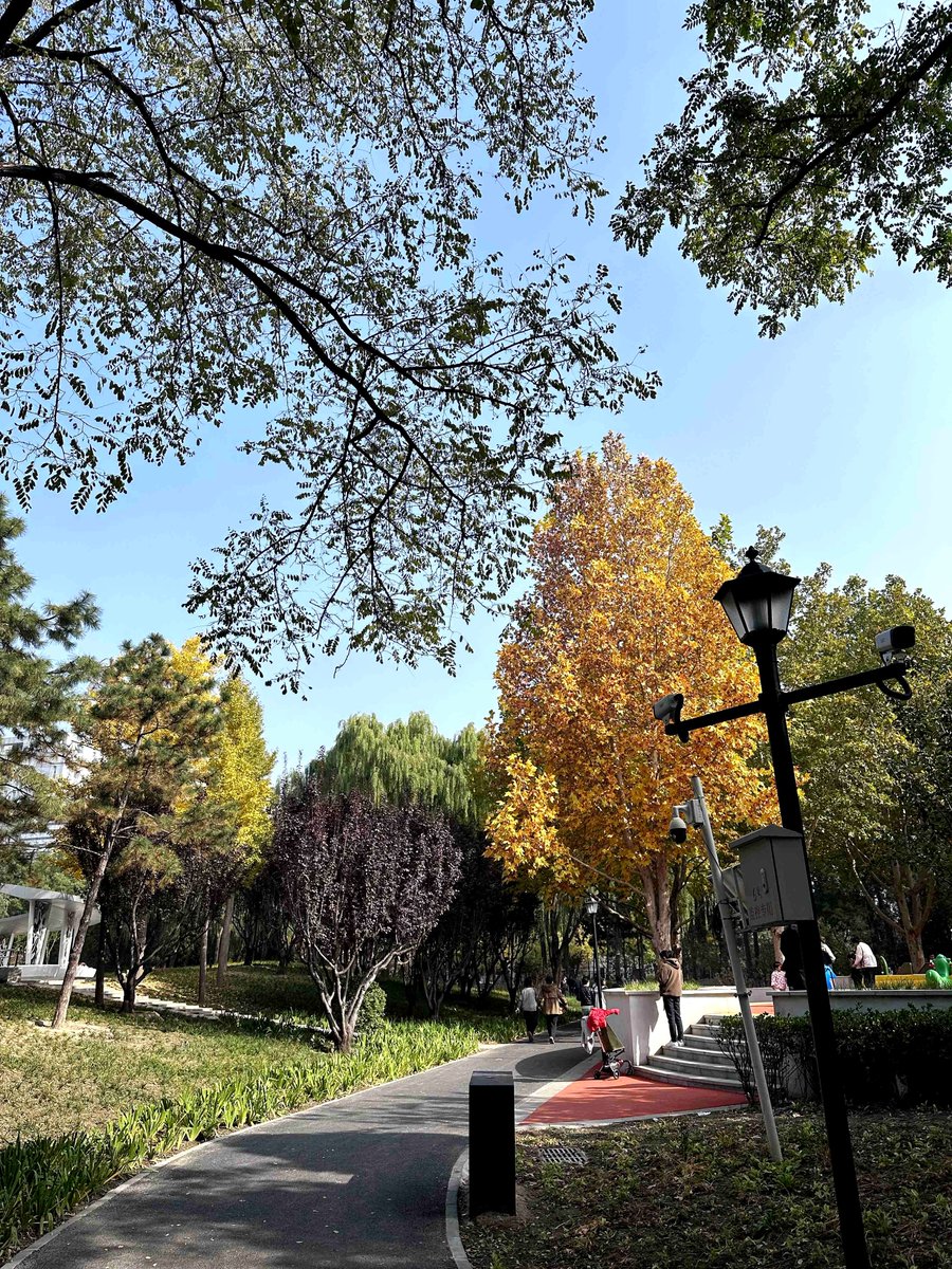 victor hugo barrera tweet media