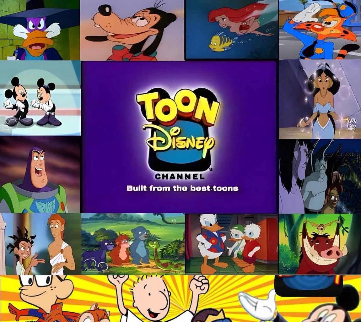 WhoWouldWin13's tweet image. 28 Years ago #ToonDisney launched, which shows stood out to you⁉️📺🧒🏻💭

#disney #television #tv #cartoon #classic #whowouldwin