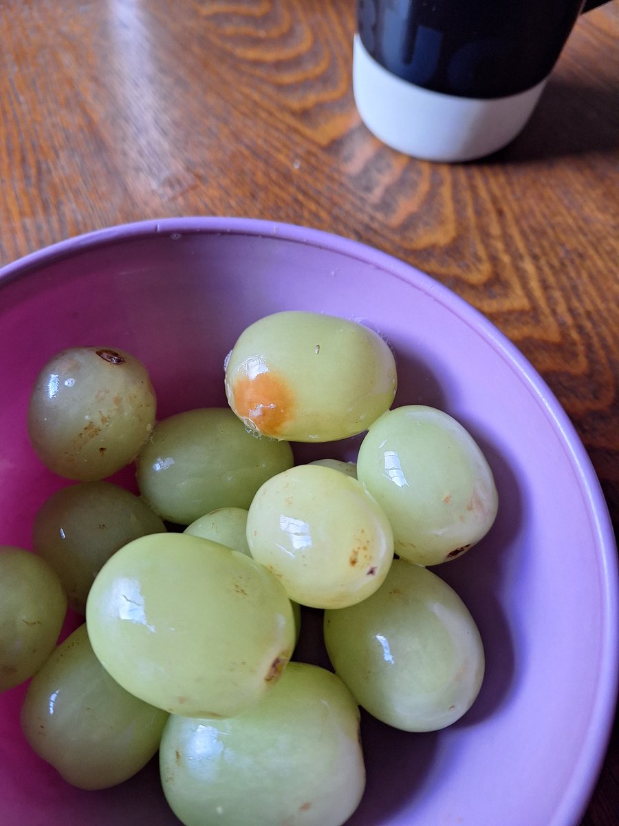 RaymondStern4's tweet image. #sundaybrunch for carrot muffins tropical coconut coffee organic grapes with strawberry jelly as with Sunday afternoon 🌞 clear weather conditions healthy dietary requirements are imperative