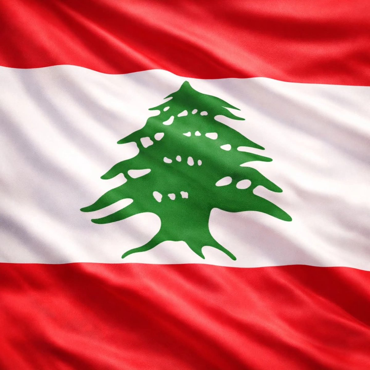 د.حسين الصافي tweet media