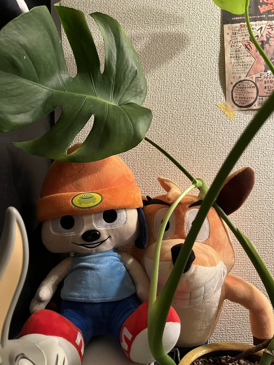 花園照輝　単行本発売中‼ tweet media