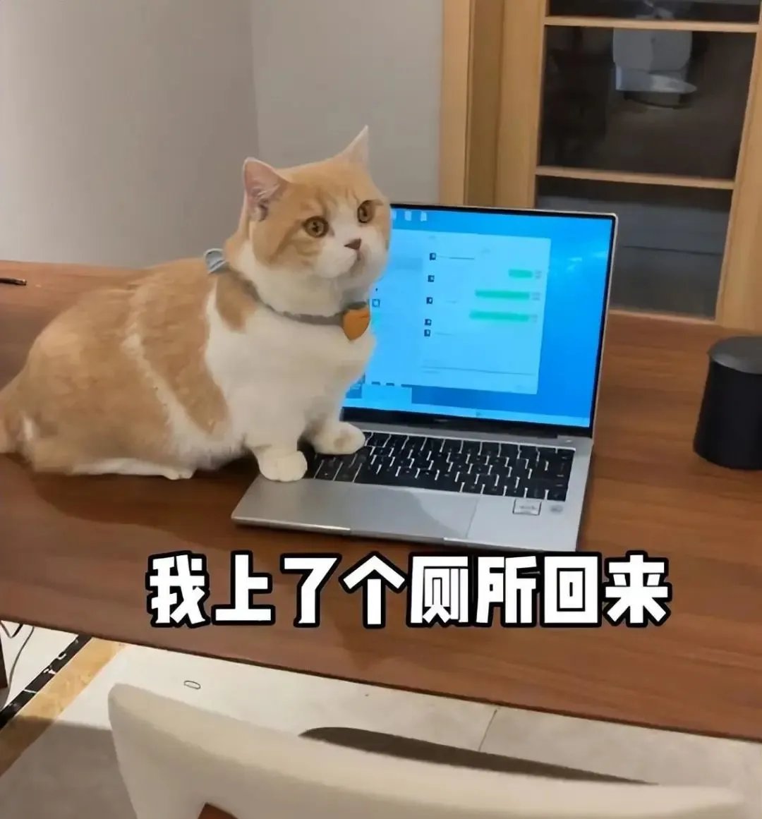 KirstyandSteve tweet media