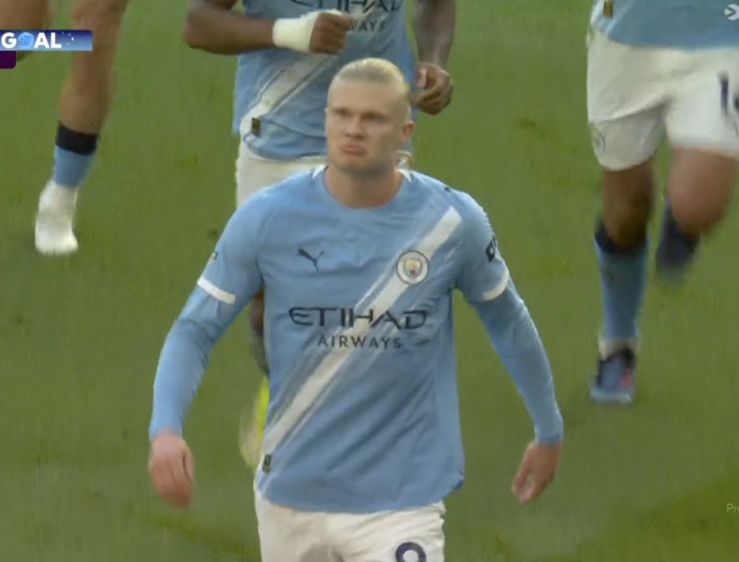 Berneese tweet media