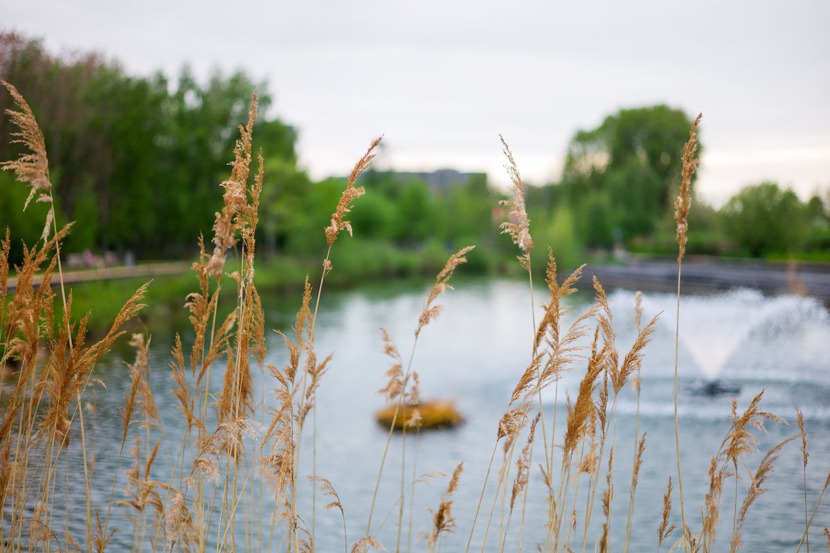 Weekweervoorspelling van <a href="/jeepeeka/">Jean-Paul Korst</a>  #Tilburg Aangenaam Lenteweer tilburgers.nl/aangenaam-lent…