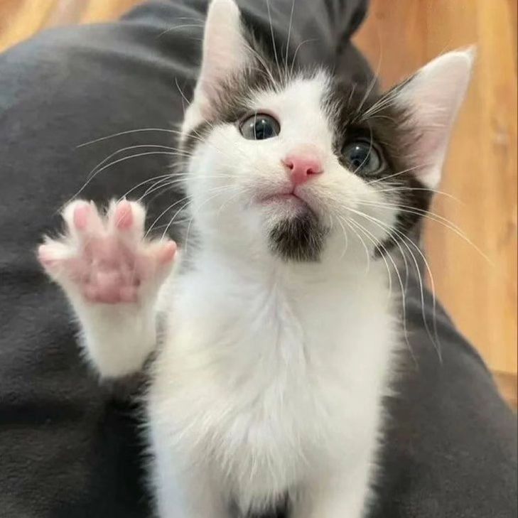 BloomingMoments tweet media