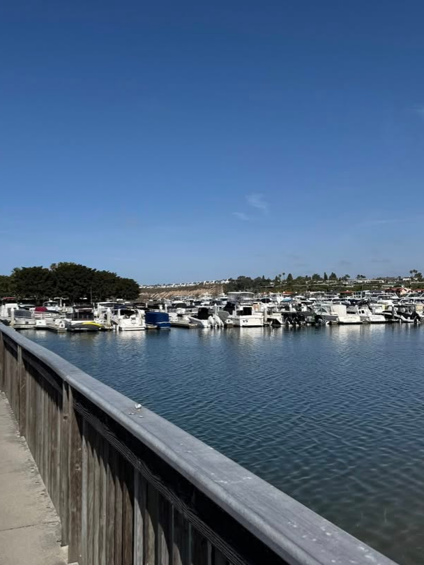 Biking the Back Bay in Newport