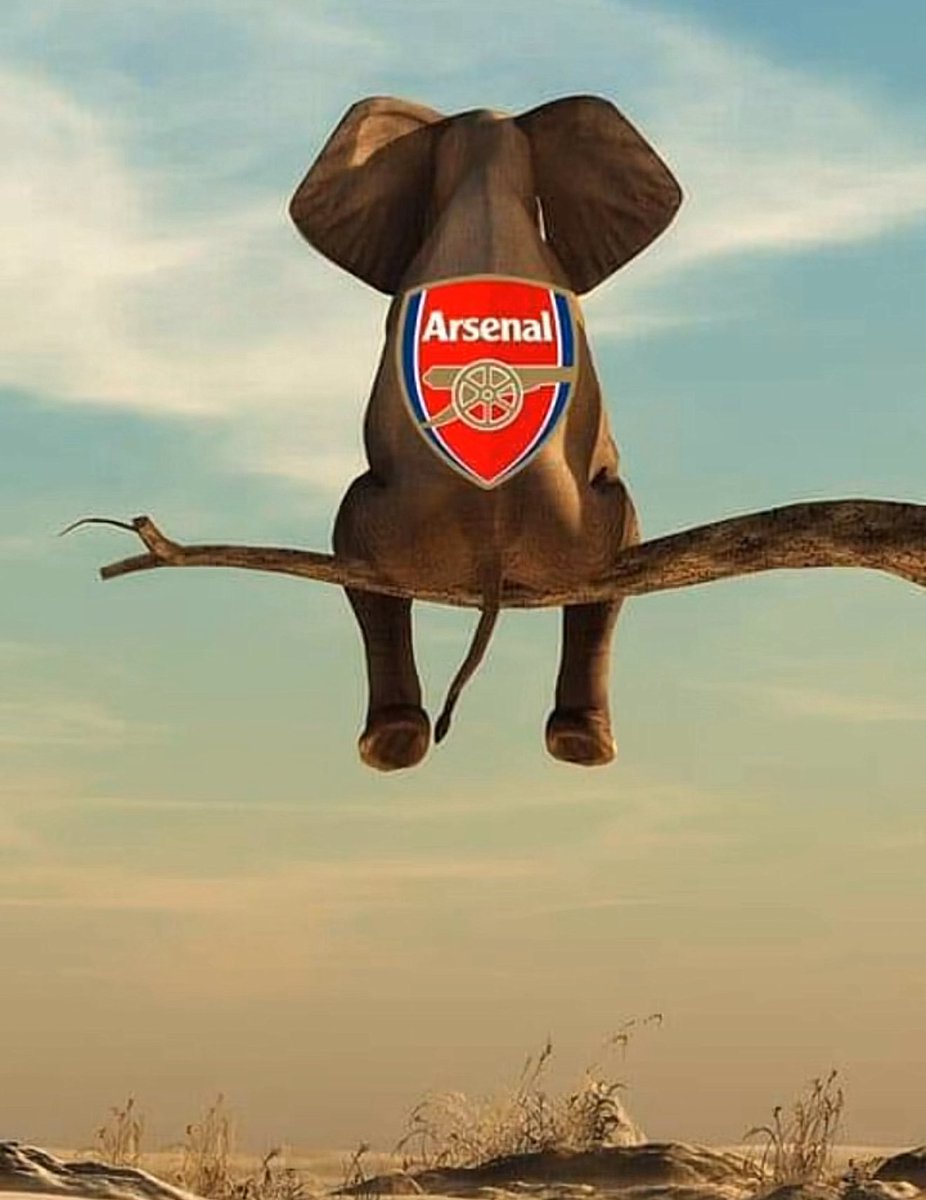 احمد برشلوني tweet media