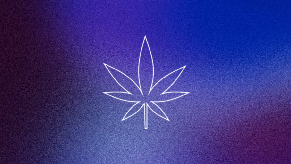 Pop Base tweet media