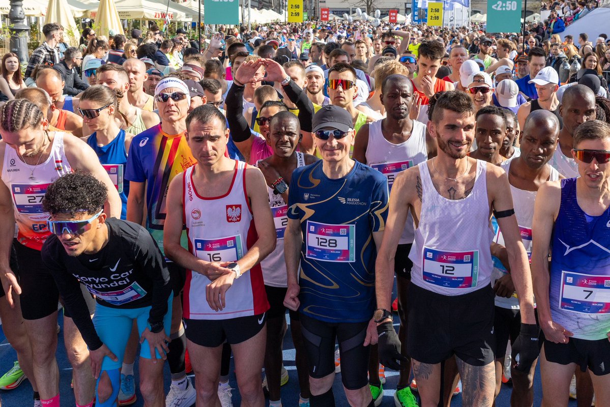 Aleksander Miszalski tweet media