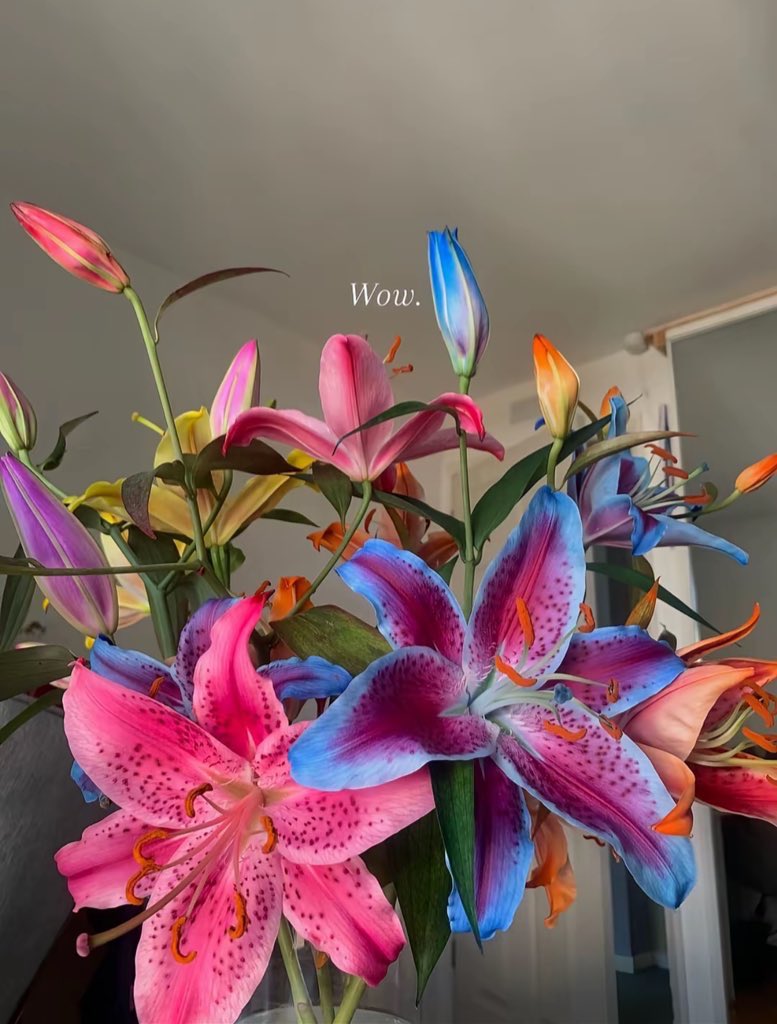 noor (@saudinoorr) on Twitter photo 