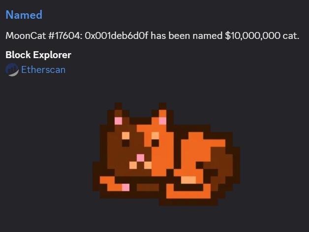 Mooncat5997 tweet media