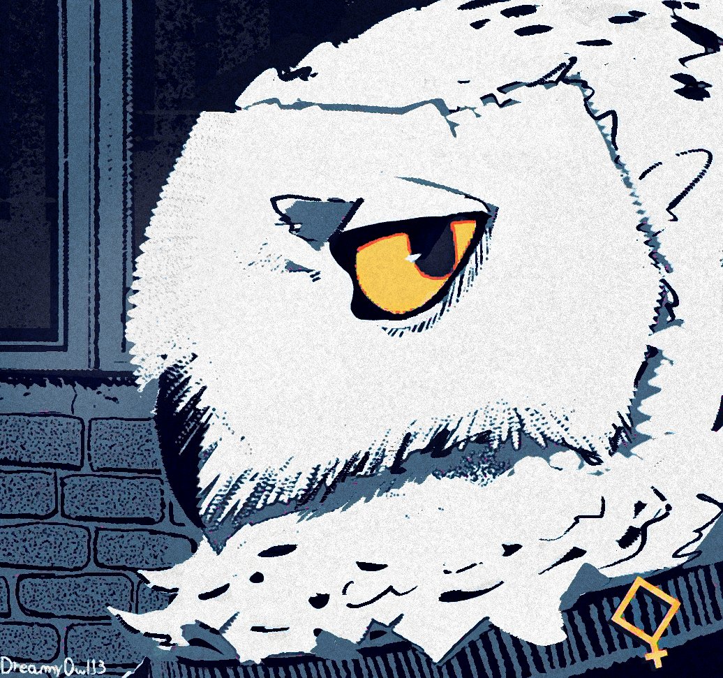 dreamyowl13's tweet photo. Hoo's there? https://t.co/OTexmkVXor