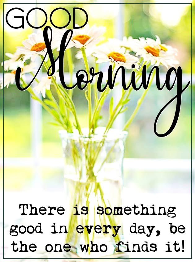 AuthorJoeNBrown's tweet image. #GoodMorning
There is something good in every day, be the one who finds it. #Motivation 🌻✨🌻💫🌻