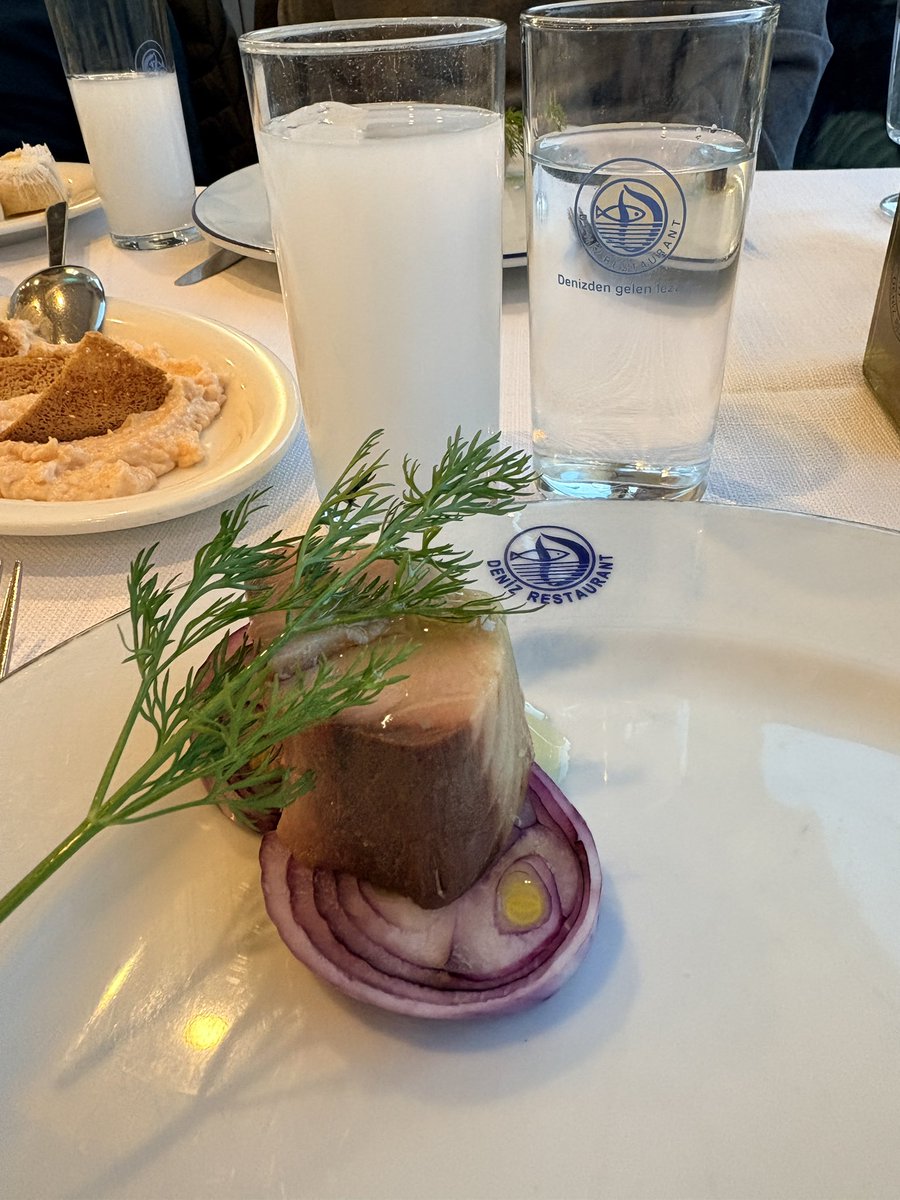 Burası Gökova tweet media