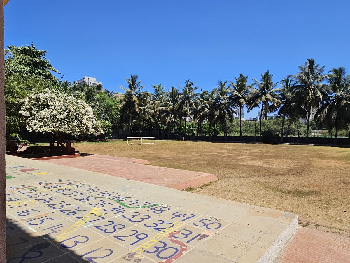 mridulachakraborty.🇮🇳 tweet media