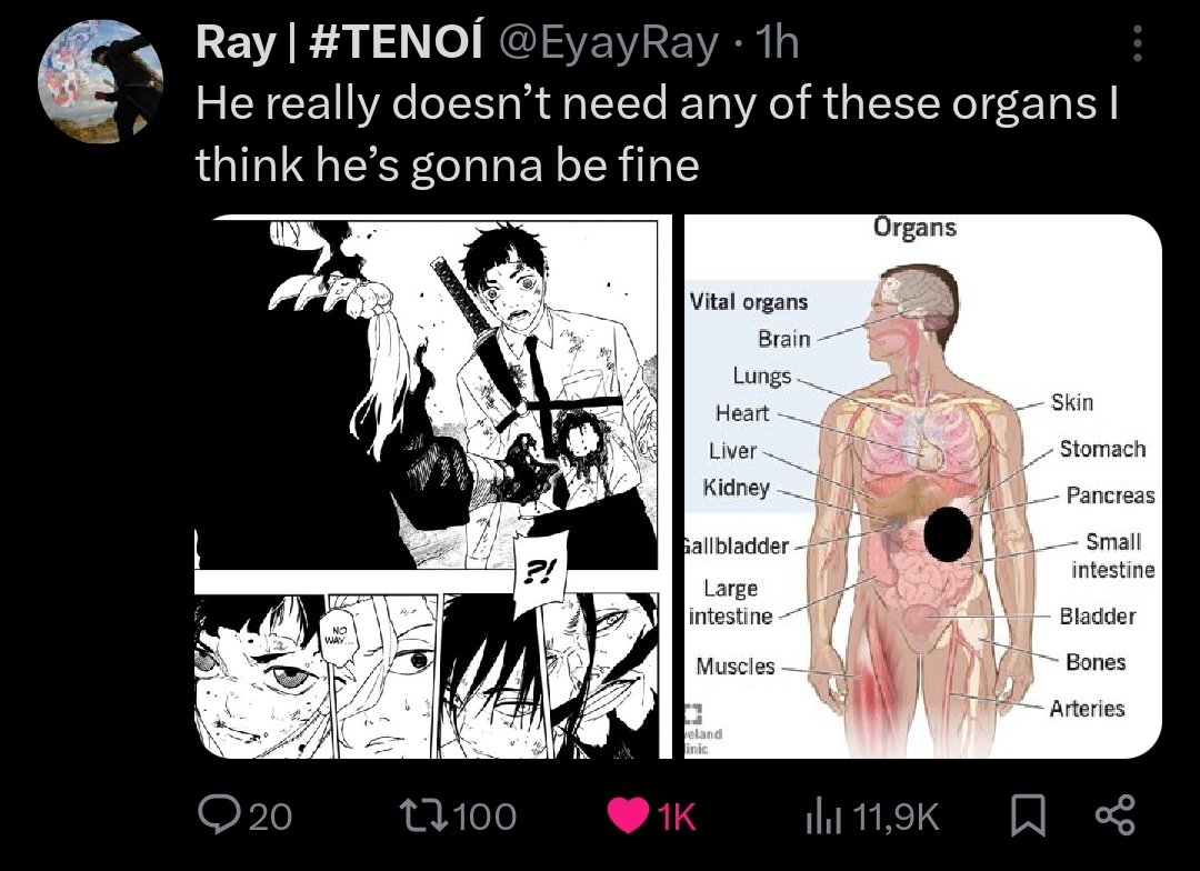 BMO | 🇮🇹 tweet media