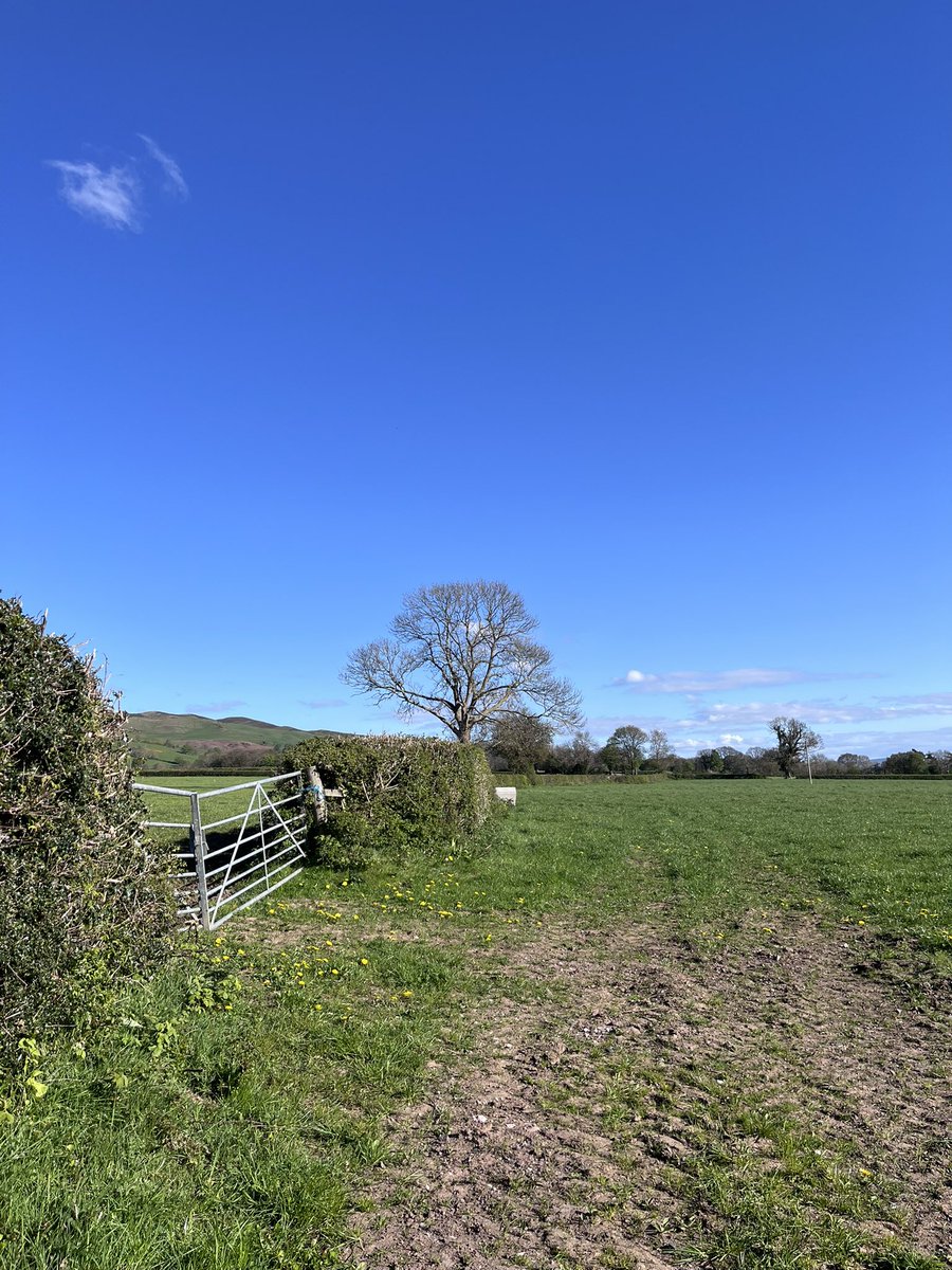 ionarees's tweet image. #Sunday #NorthWales 🏴󠁧󠁢󠁷󠁬󠁳󠁿