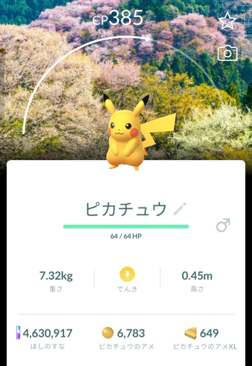 テラスタルわどるでぃ tweet media