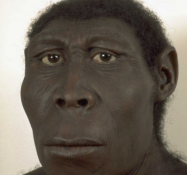 josephmunr63278's tweet image. #FUCKING  #ANIMALS  !!! _  😠😠😠

WHAT  A  FUCKING  #GARBAGE  #RACE  !!!

#Sub_Human_Hominids  ..