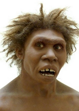 josephmunr63278's tweet image. #FUCKING  #ANIMALS  !!! _  😠😠😠

WHAT  A  FUCKING  #GARBAGE  #RACE  !!!

#Sub_Human_Hominids  ..