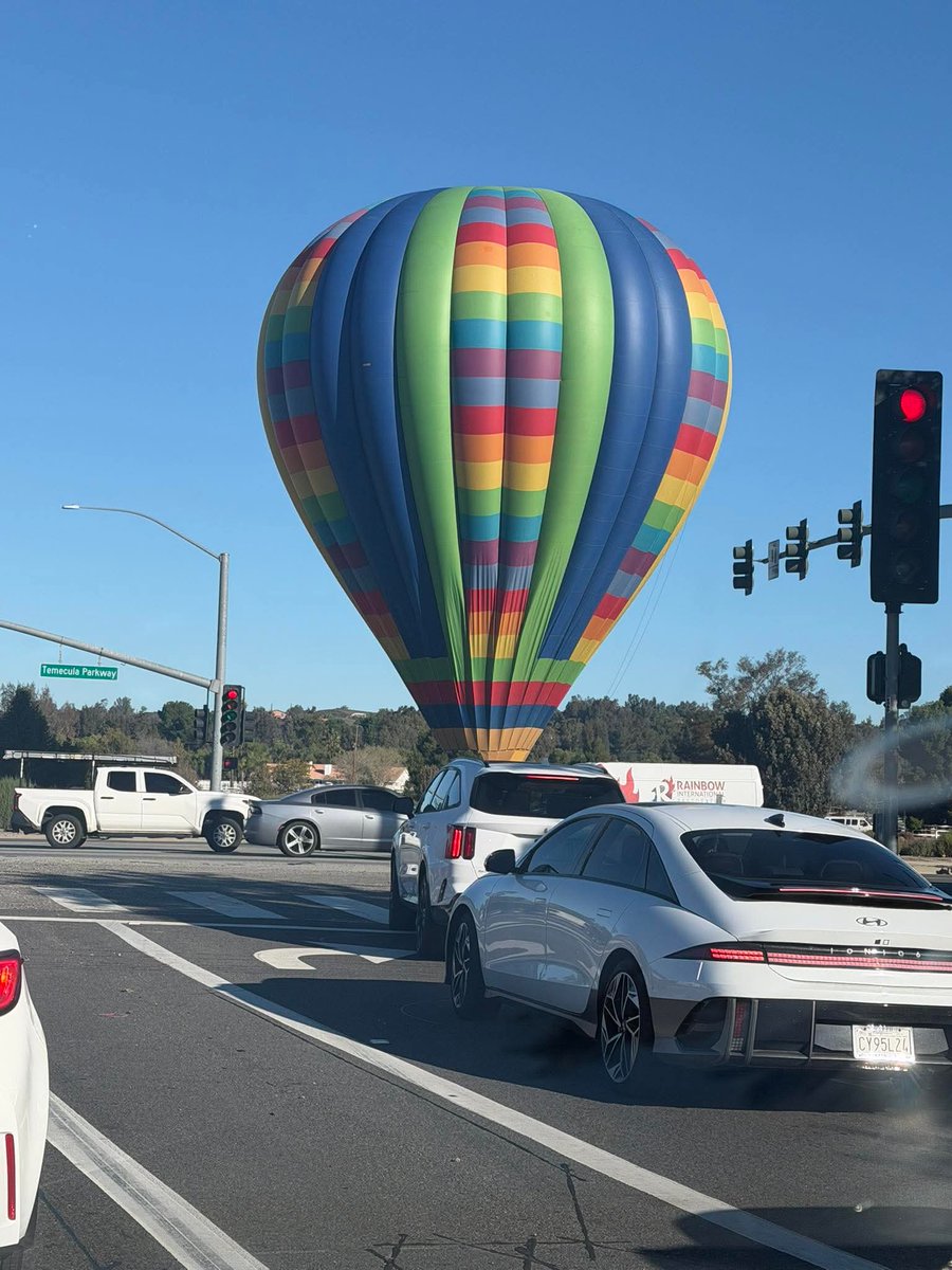 Melinda Moon tweet media