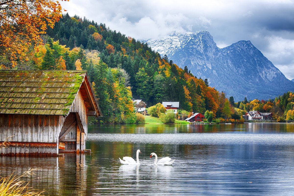 BethFratesMD's tweet image. "Mindfulness helps you go home to the present. And every time you go there and recognize a condition of happiness that you have, happiness comes." Thich Nhat Hanh

#ThinkBigSundayWithMarsha #sundayvibes #SundayThoughts #Mindfulness #MindBody #InnerPeace