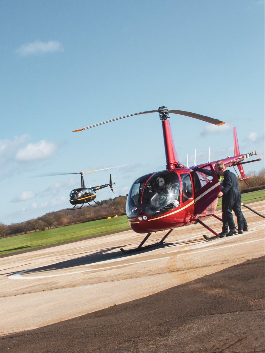 Wolverhampton Halfpenny Green Airport tweet media