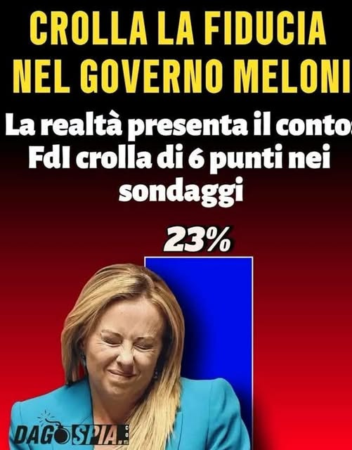 anna quercia tweet media