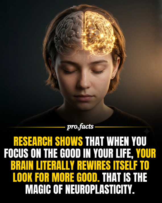 Neuron Powers 🧠 tweet media