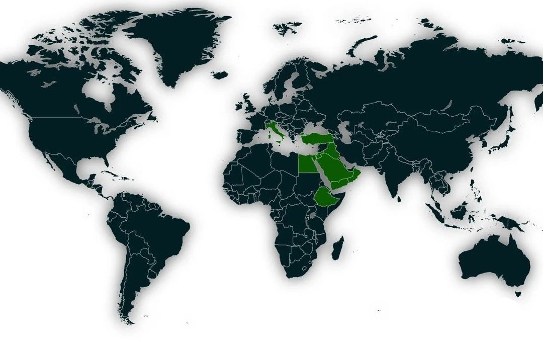 Haritaları Keşfediyoruz tweet media