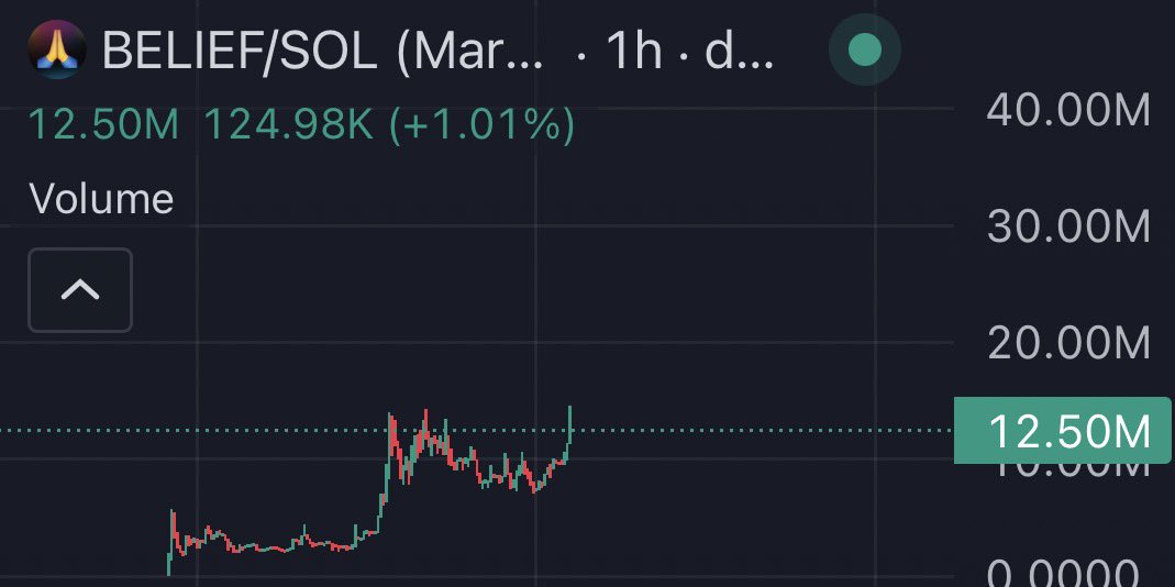 $belief in something