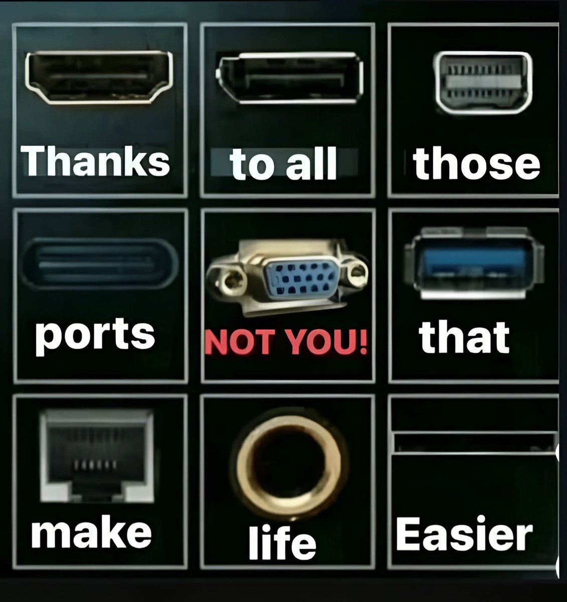 SHILL HOUSE tweet media