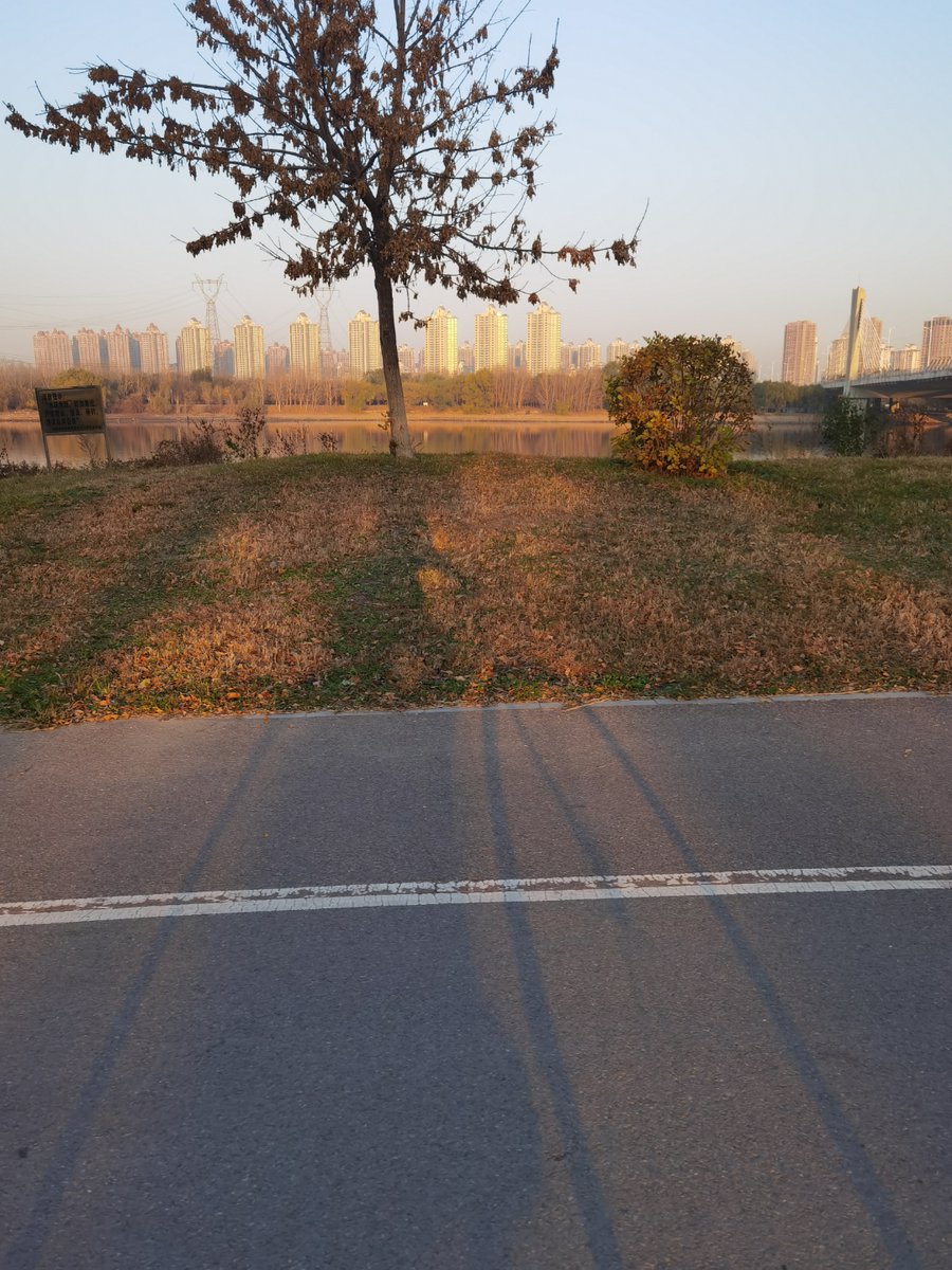 света tweet media