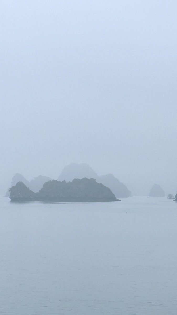 hafelg's tweet image. The missing #Vietnam files, day 24: Exactly one year ago today, we were cruising #HaLongBay. Limestone cliffs, calm water, and that hazy April light. Still thinking about this one 🛥️🌿

#Latergram #AprilMemories #SoutheastAsia