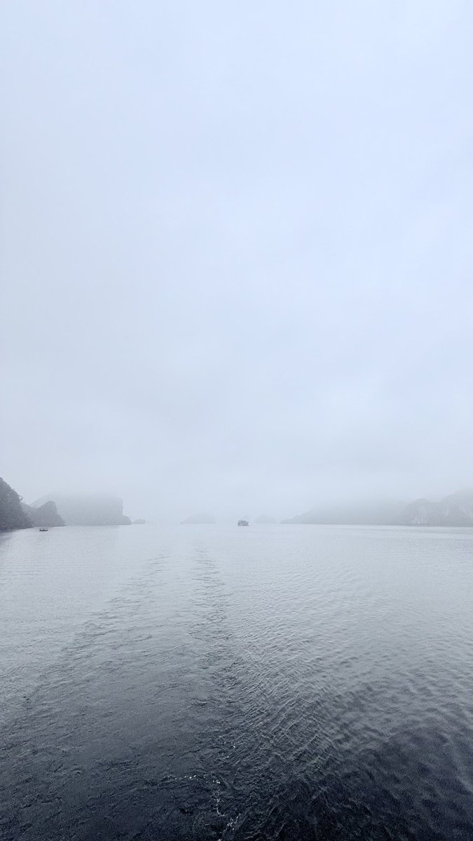 hafelg's tweet image. The missing #Vietnam files, day 24: Exactly one year ago today, we were cruising #HaLongBay. Limestone cliffs, calm water, and that hazy April light. Still thinking about this one 🛥️🌿

#Latergram #AprilMemories #SoutheastAsia