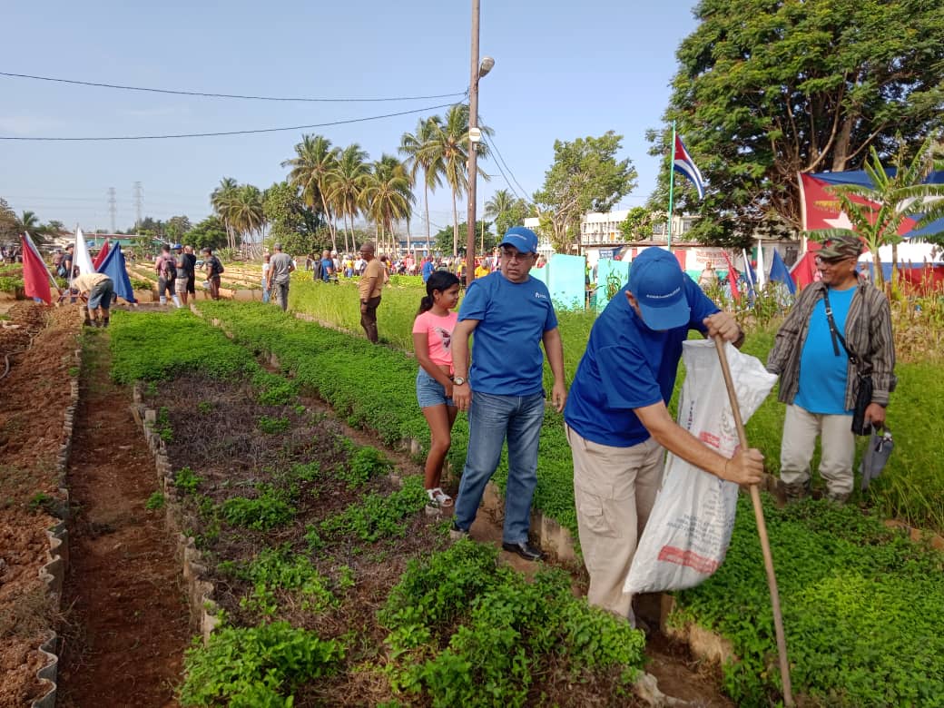 #AduanadeCuba participamos hoy en trabajo voluntario convocado en una fecha histórica al cumplirse el 65 aniversario de la aplastante derrota al imperio yanqui en las arenas de Playa Girón y  rublicamos la firma por la Patria.